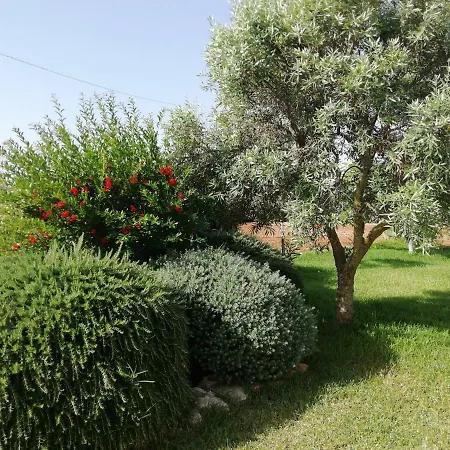 Maria Villa Carovigno