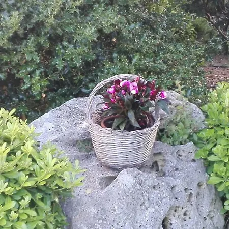Villa Maria *