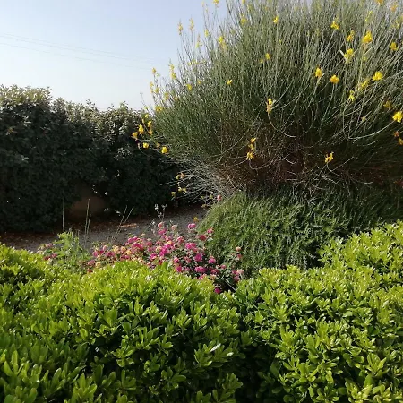 Maria * Каровиньо