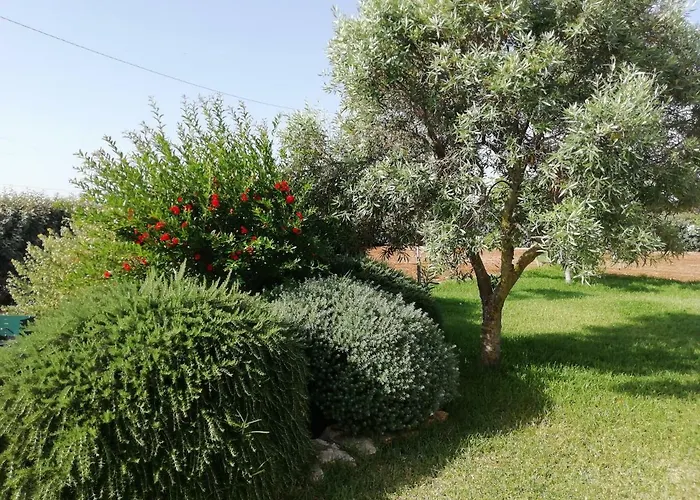 Maria Villa Carovigno